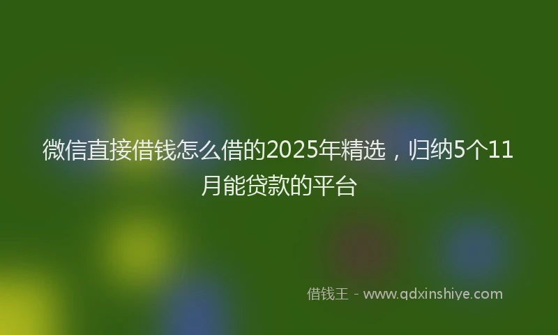 微信直接借钱怎么借的2025年精选，归纳5个11月能贷款的平台