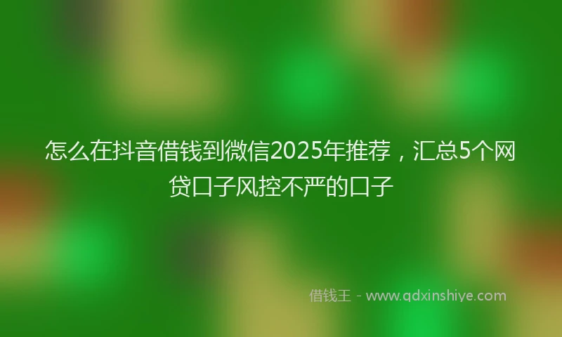 怎么在抖音借钱到微信2025年推荐，汇总5个网贷口子风控不严的口子