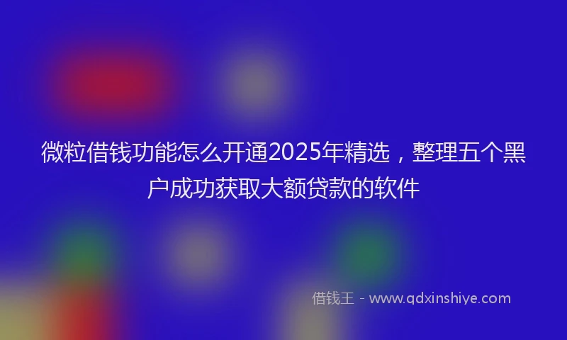 微粒借钱功能怎么开通2025年精选，整理五个黑户成功获取大额贷款的软件