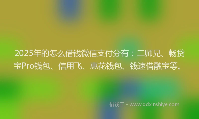 2025年的怎么借钱微信支付分有：二师兄、畅贷宝Pro钱包、信用飞、惠花钱包、钱速借融宝等。
