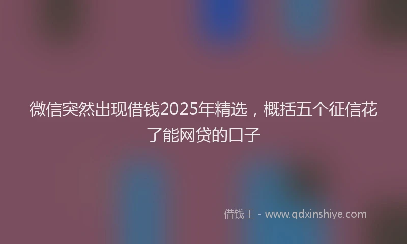 微信突然出现借钱2025年精选，概括五个征信花了能网贷的口子