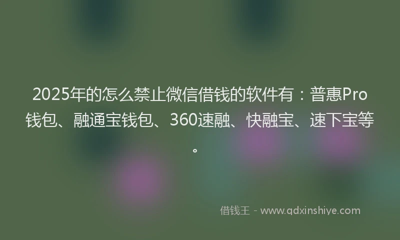 2025年的怎么禁止微信借钱的软件有：普惠Pro钱包、融通宝钱包、360速融、快融宝、速下宝等。
