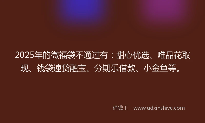 2025年的微福袋不通过有：甜心优选、唯品花取现、钱袋速贷融宝、分期乐借款、小金鱼等。