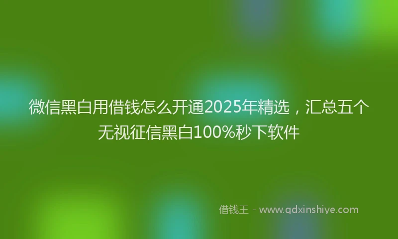 微信黑白用借钱怎么开通2025年精选，汇总五个无视征信黑白100%秒下软件