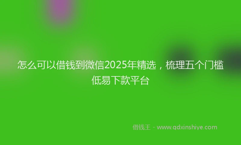 怎么可以借钱到微信2025年精选，梳理五个门槛低易下款平台