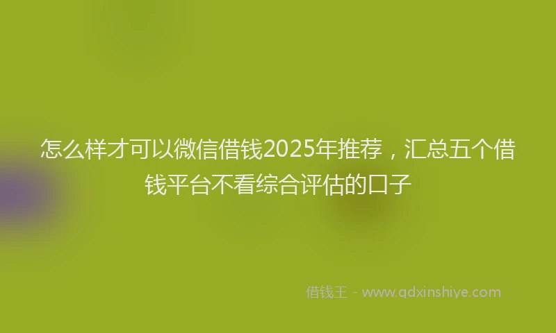 怎么样才可以微信借钱2025年推荐，汇总五个借钱平台不看综合评估的口子