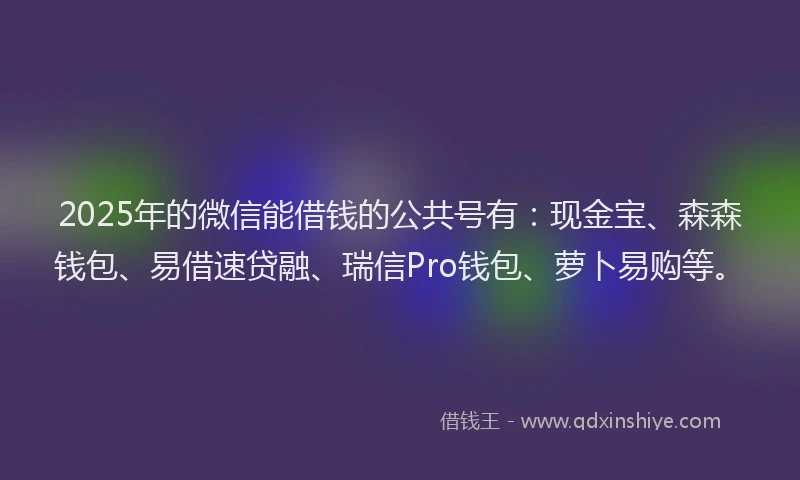 2025年的微信能借钱的公共号有：现金宝、森森钱包、易借速贷融、瑞信Pro钱包、萝卜易购等。