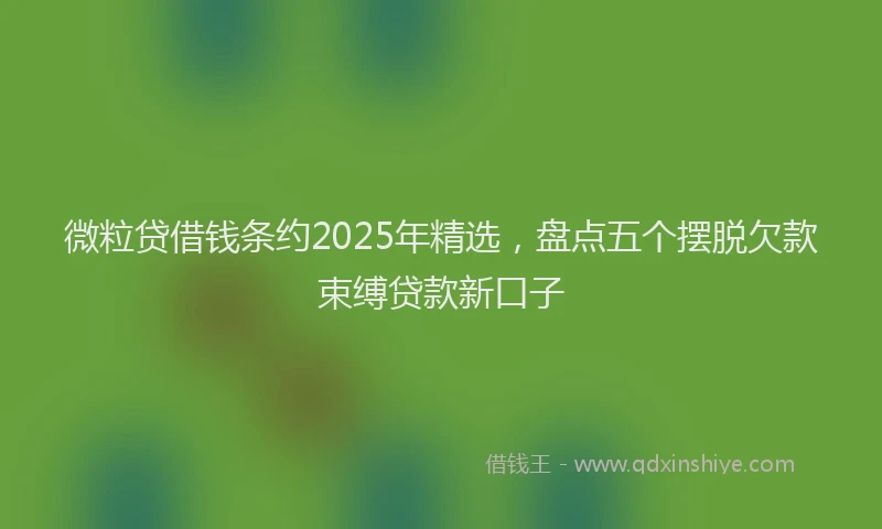 微粒贷借钱条约2025年精选，盘点五个摆脱欠款束缚贷款新口子