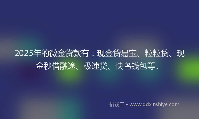 2025年的微金贷款有：现金贷易宝、粒粒贷、现金秒借融途、极速贷、快鸟钱包等。