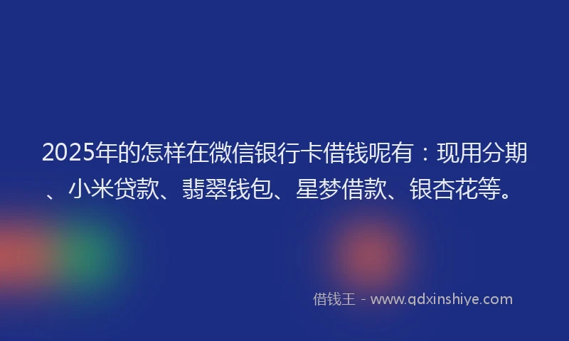 2025年的怎样在微信银行卡借钱呢有：现用分期、小米贷款、翡翠钱包、星梦借款、银杏花等。