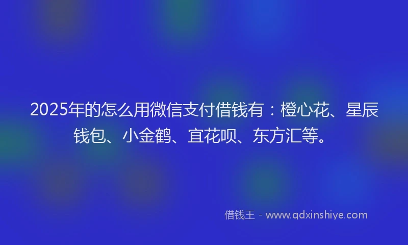 2025年的怎么用微信支付借钱有：橙心花、星辰钱包、小金鹤、宜花呗、东方汇等。