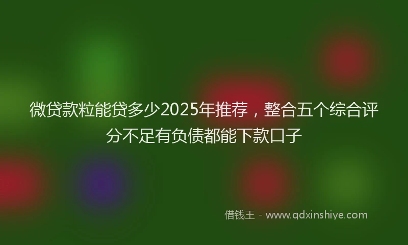 微贷款粒能贷多少2025年推荐，整合五个综合评分不足有负债都能下款口子