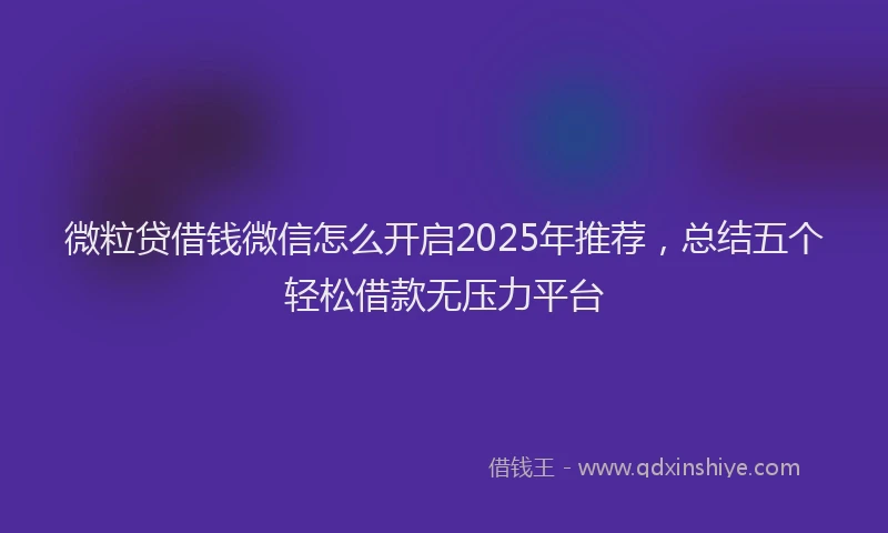 微粒贷借钱微信怎么开启2025年推荐，总结五个轻松借款无压力平台