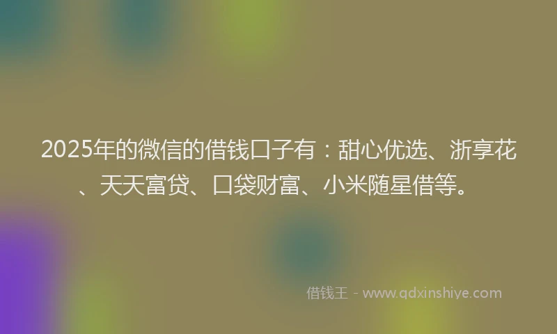 2025年的微信的借钱口子有：甜心优选、浙享花、天天富贷、口袋财富、小米随星借等。