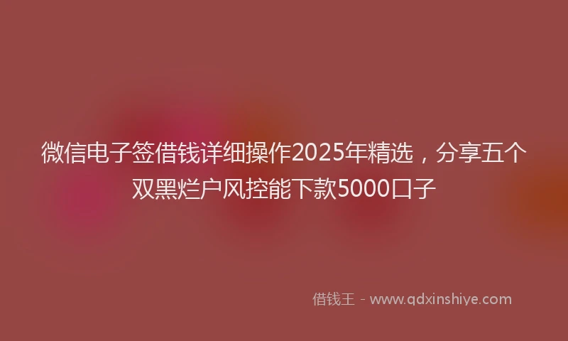 微信电子签借钱详细操作2025年精选，分享五个双黑烂户风控能下款5000口子