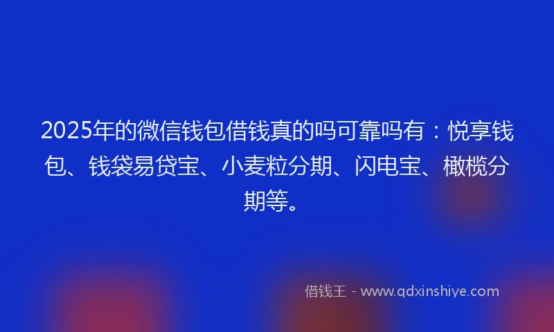 2025年的微信钱包借钱真的吗可靠吗有：悦享钱包、钱袋易贷宝、小麦粒分期、闪电宝、橄榄分期等。