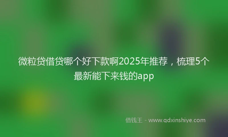 微粒贷借贷哪个好下款啊2025年推荐，梳理5个最新能下来钱的app