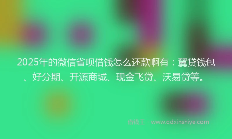 2025年的微信省呗借钱怎么还款啊有：翼贷钱包、好分期、开源商城、现金飞贷、沃易贷等。