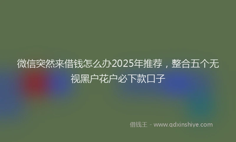 微信突然来借钱怎么办2025年推荐，整合五个无视黑户花户必下款口子