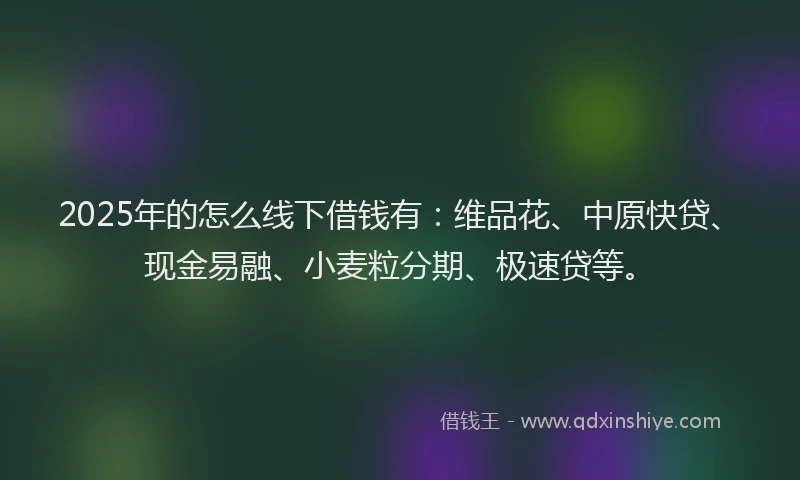 2025年的怎么线下借钱有：维品花、中原快贷、现金易融、小麦粒分期、极速贷等。
