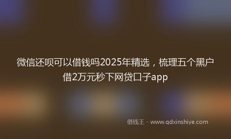 微信还呗可以借钱吗2025年精选，梳理五个黑户借2万元秒下网贷口子app
