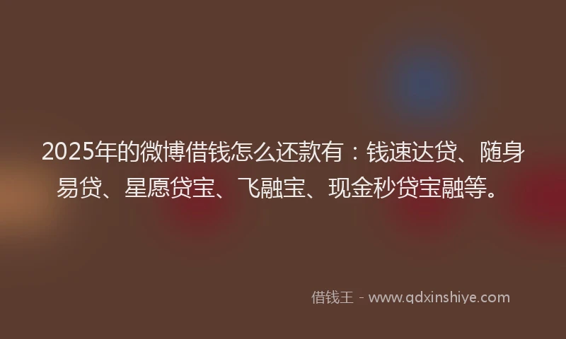 2025年的微博借钱怎么还款有：钱速达贷、随身易贷、星愿贷宝、飞融宝、现金秒贷宝融等。