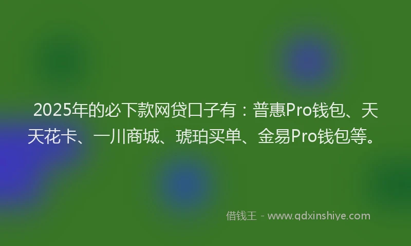2025年的必下款网贷口子有：普惠Pro钱包、天天花卡、一川商城、琥珀买单、金易Pro钱包等。