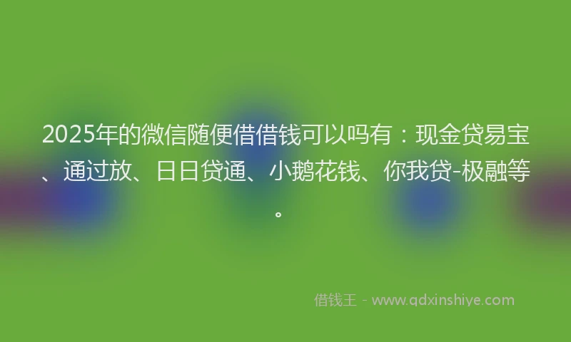 2025年的微信随便借借钱可以吗有：现金贷易宝、通过放、日日贷通、小鹅花钱、你我贷-极融等。