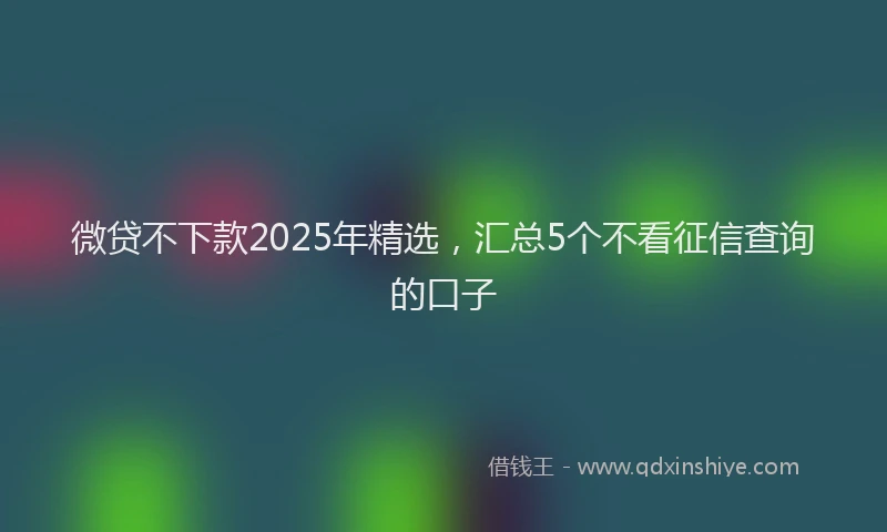 微贷不下款2025年精选，汇总5个不看征信查询的口子