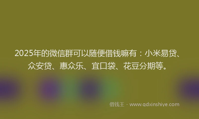 2025年的微信群可以随便借钱嘛有：小米易贷、众安贷、惠众乐、宜口袋、花豆分期等。