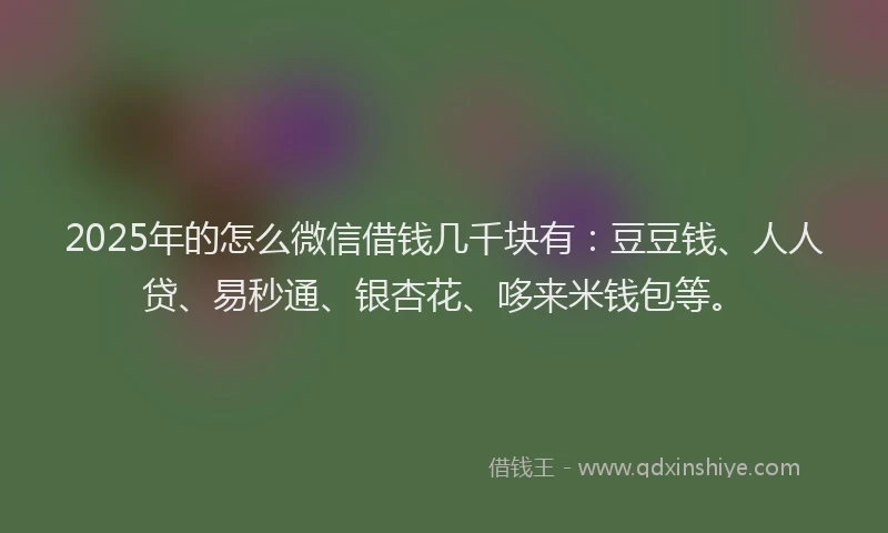 2025年的怎么微信借钱几千块有：豆豆钱、人人贷、易秒通、银杏花、哆来米钱包等。