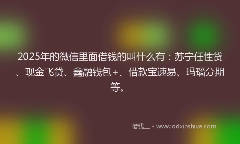 2025年的微信里面借钱的叫什么有：苏宁任性贷、现金飞贷、鑫融钱包+、借款宝速易、玛瑙分期等。