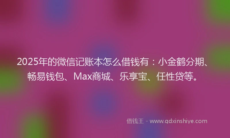 2025年的微信记账本怎么借钱有：小金鹤分期、畅易钱包、Max商城、乐享宝、任性贷等。