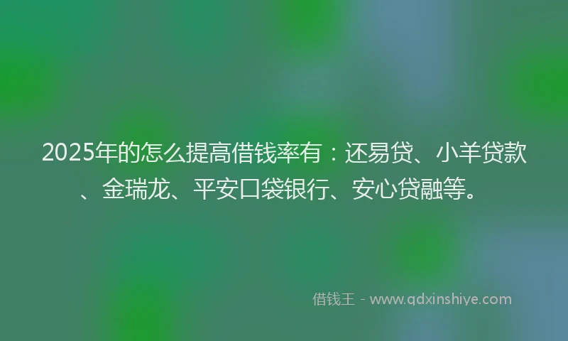 2025年的怎么提高借钱率有：还易贷、小羊贷款、金瑞龙、平安口袋银行、安心贷融等。