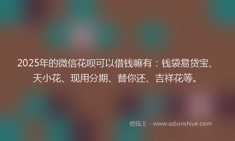 2025年的微信花呗可以借钱嘛有：钱袋易贷宝、天小花、现用分期、替你还、吉祥花等。