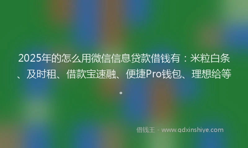 2025年的怎么用微信信息贷款借钱有：米粒白条、及时租、借款宝速融、便捷Pro钱包、理想给等。