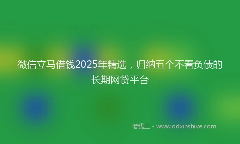 微信立马借钱2025年精选，归纳五个不看负债的长期网贷平台