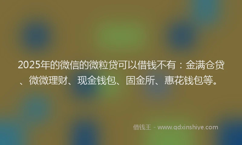 2025年的微信的微粒贷可以借钱不有：金满仓贷、微微理财、现金钱包、固金所、惠花钱包等。
