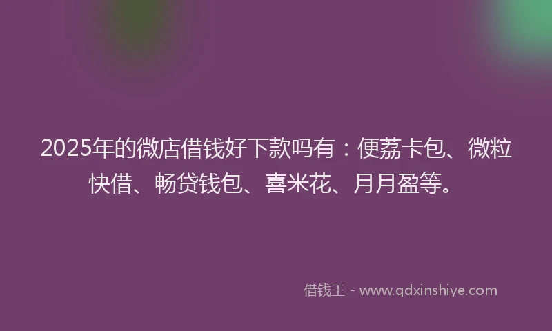 2025年的微店借钱好下款吗有：便荔卡包、微粒快借、畅贷钱包、喜米花、月月盈等。