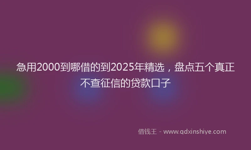急用2000到哪借的到2025年精选，盘点五个真正不查征信的贷款口子