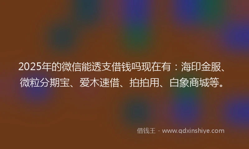 2025年的微信能透支借钱吗现在有：海印金服、微粒分期宝、爱木速借、拍拍用、白象商城等。
