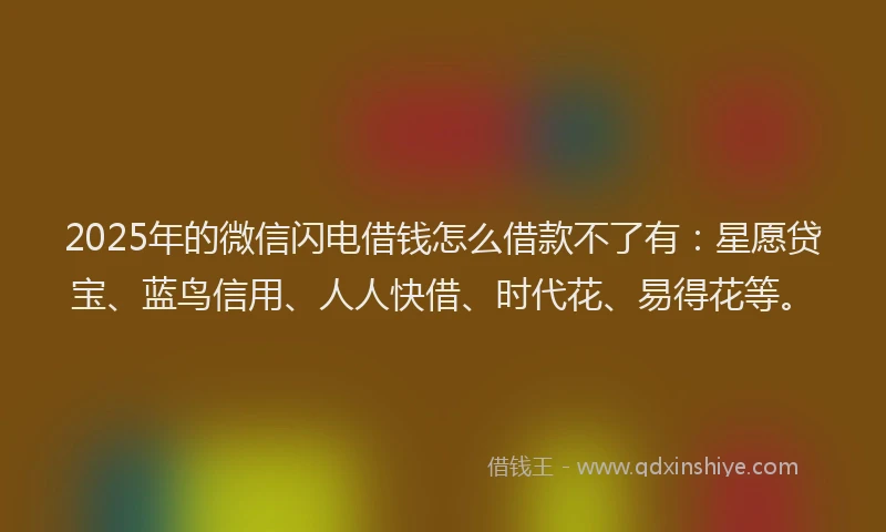 2025年的微信闪电借钱怎么借款不了有：星愿贷宝、蓝鸟信用、人人快借、时代花、易得花等。