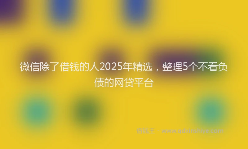 微信除了借钱的人2025年精选，整理5个不看负债的网贷平台