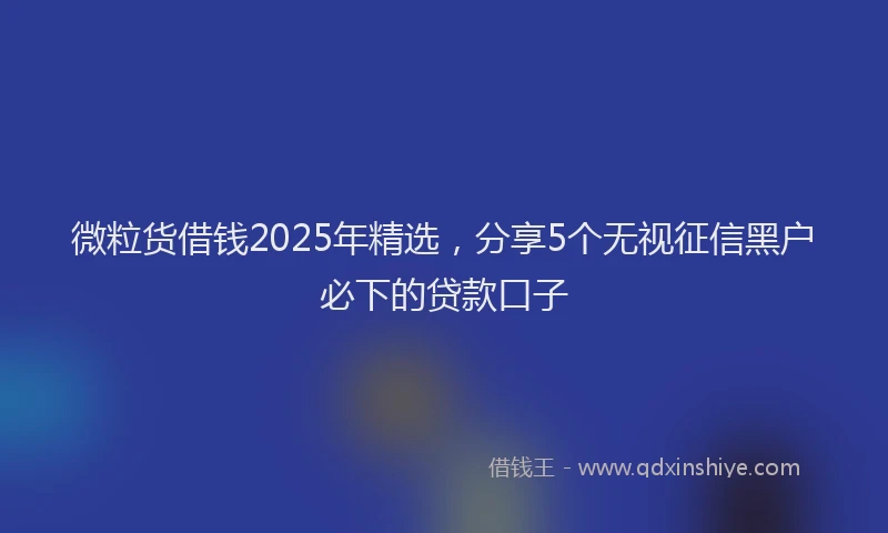 微粒货借钱2025年精选，分享5个无视征信黑户必下的贷款口子