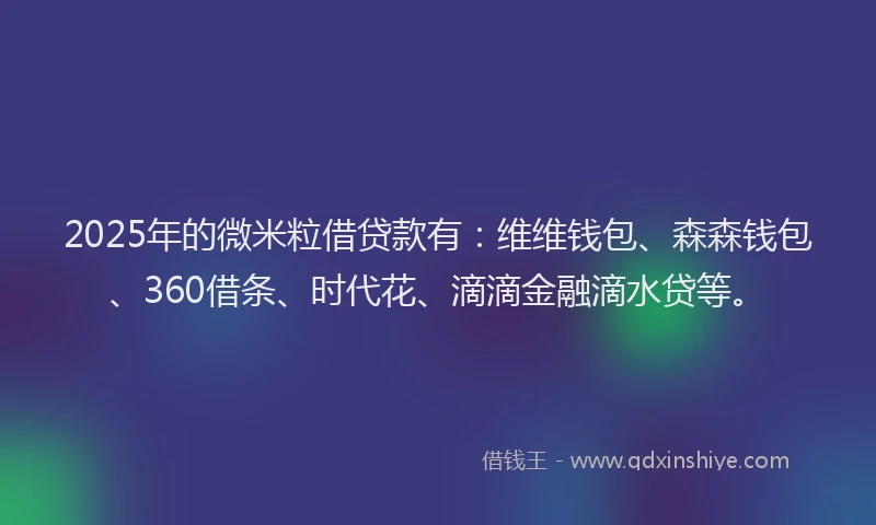 2025年的微米粒借贷款有：维维钱包、森森钱包、360借条、时代花、滴滴金融滴水贷等。