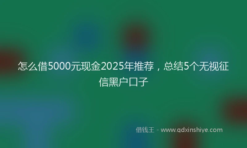 怎么借5000元现金2025年推荐，总结5个无视征信黑户口子
