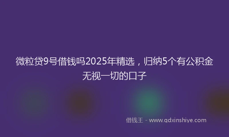 微粒贷9号借钱吗2025年精选，归纳5个有公积金无视一切的口子
