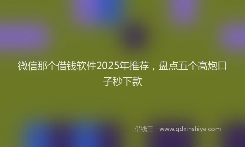 微信那个借钱软件2025年推荐，盘点五个高炮口子秒下款