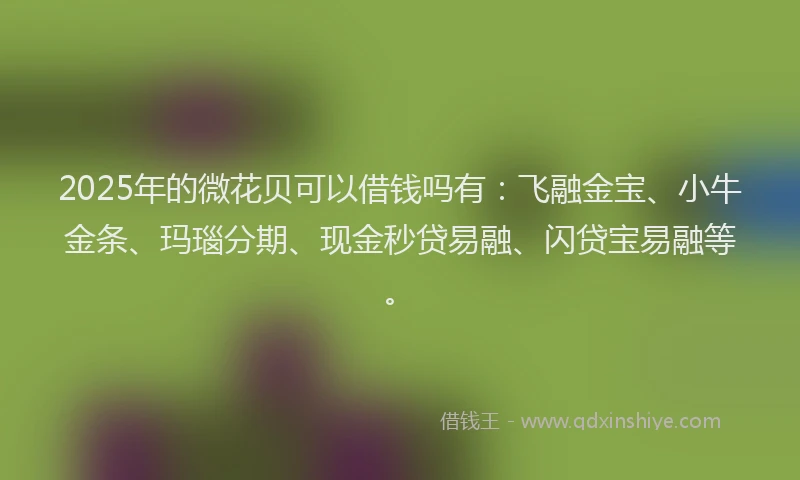 2025年的微花贝可以借钱吗有：飞融金宝、小牛金条、玛瑙分期、现金秒贷易融、闪贷宝易融等。