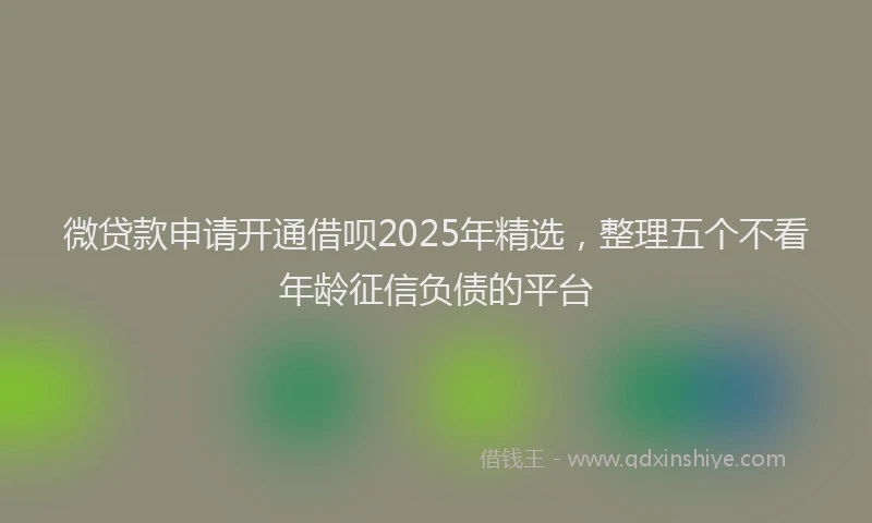 微贷款申请开通借呗2025年精选，整理五个不看年龄征信负债的平台